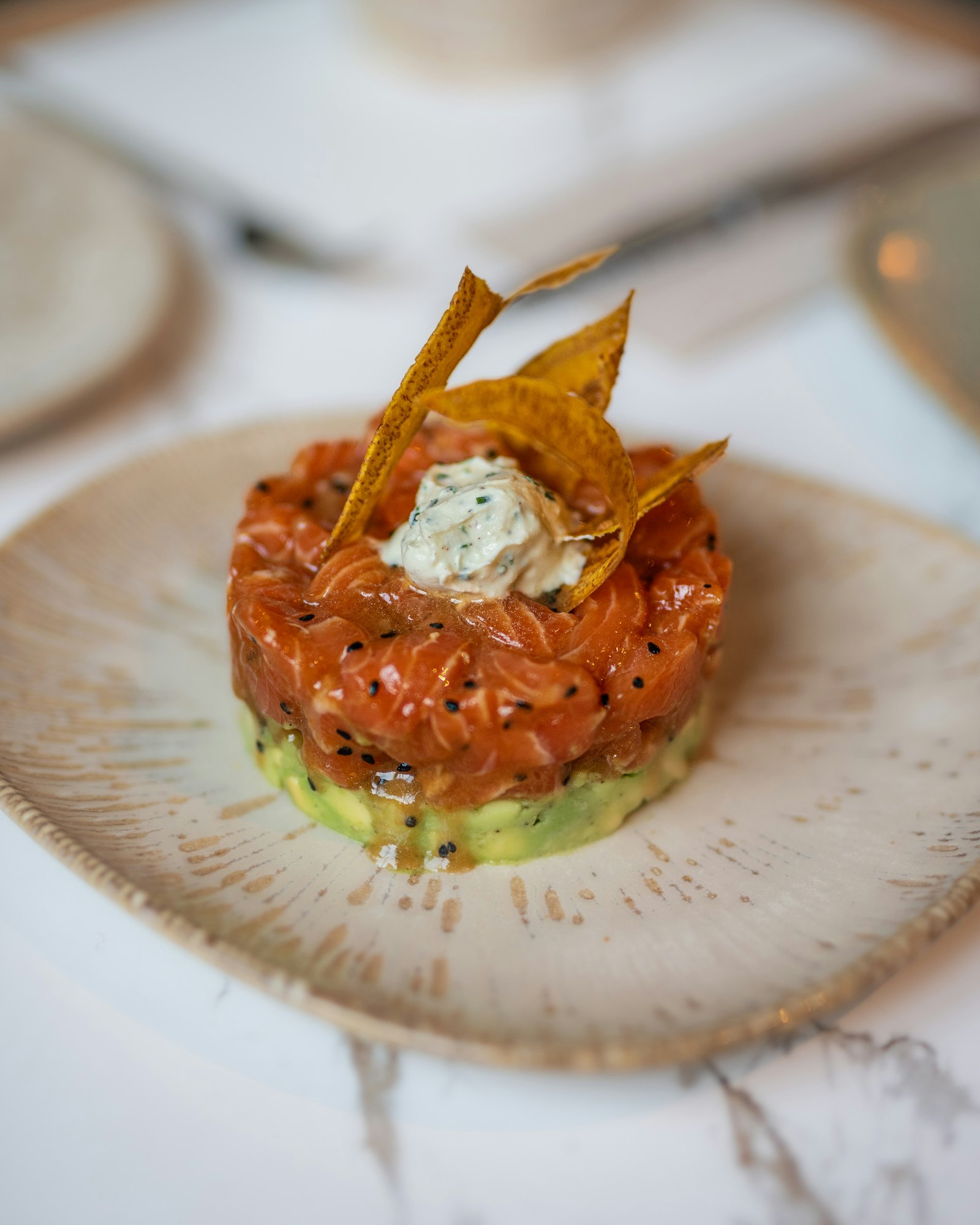 Tartare di salmone con avocado e una cialda croccante su ceramica chiara.